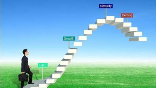 深圳品牌策劃與營銷 市場動態(tài)與專業(yè)機構的優(yōu)勢解析