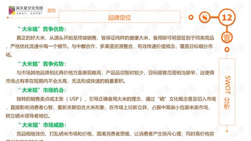 大米姐品牌營(yíng)銷策劃案商業(yè)計(jì)劃書